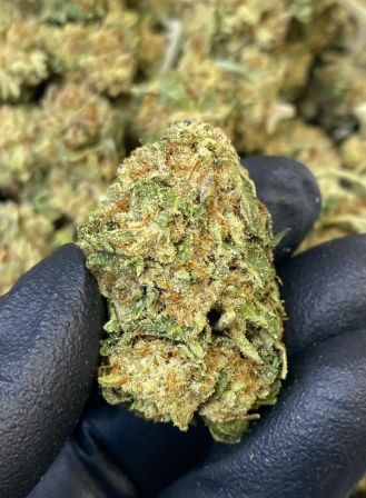 Dosi x Gelato 2 THCA Hemp Flower