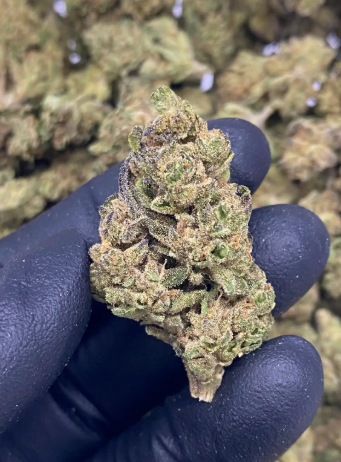 Mac n Cookies THCA Hemp Flower