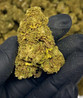 Fenocheese CBD Flower