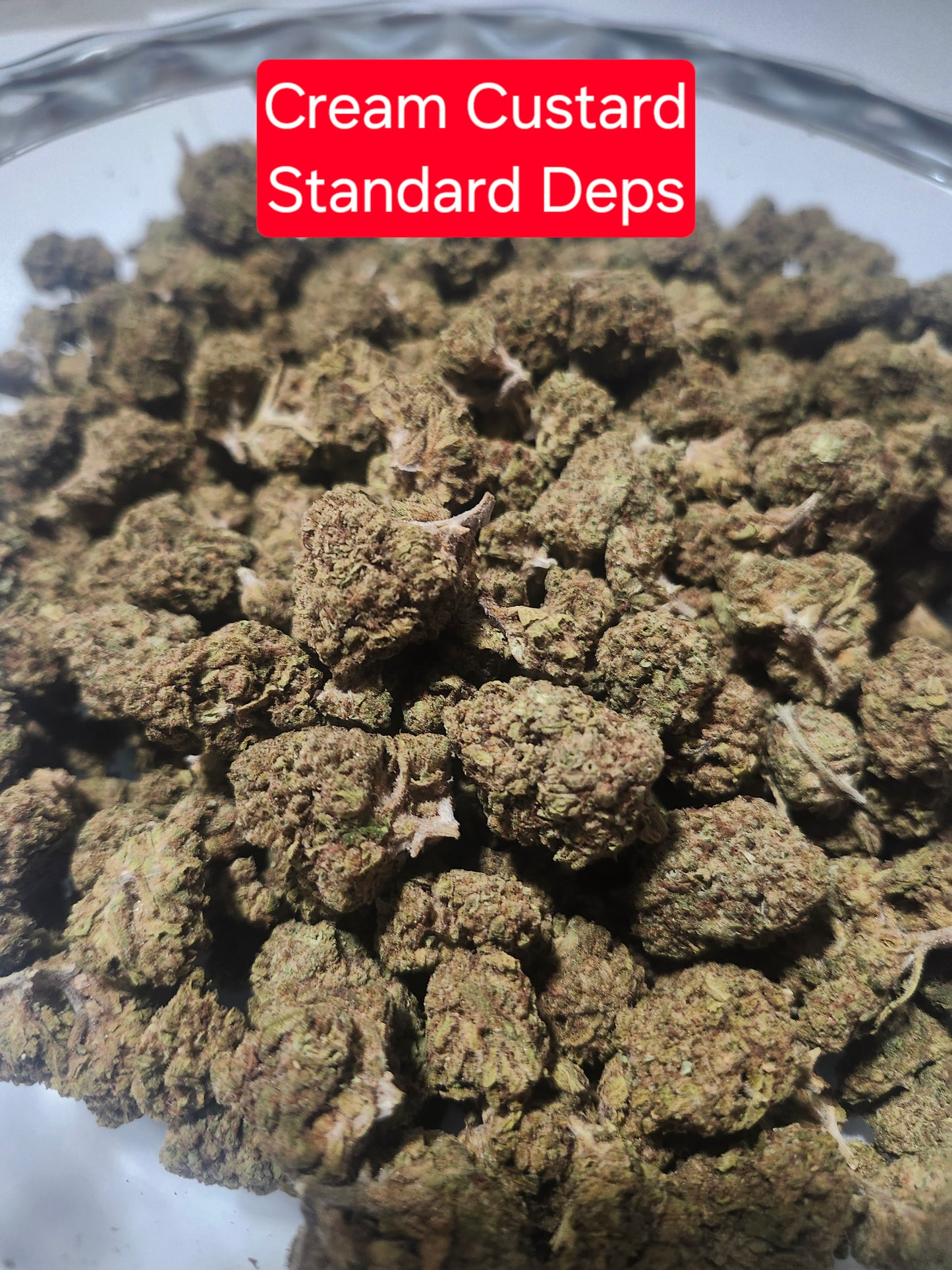 Cream Custard THCA Hemp Flower