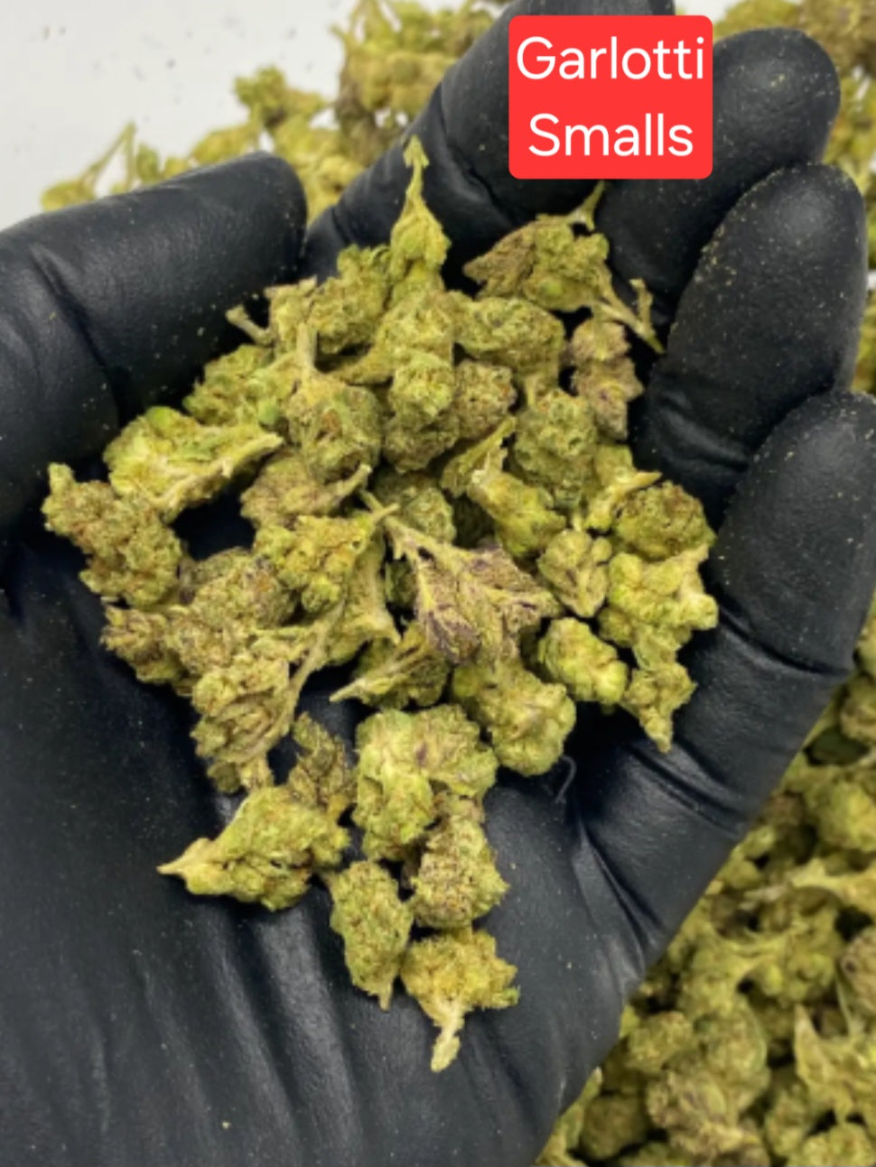 Garlotti THCA Hemp Flower