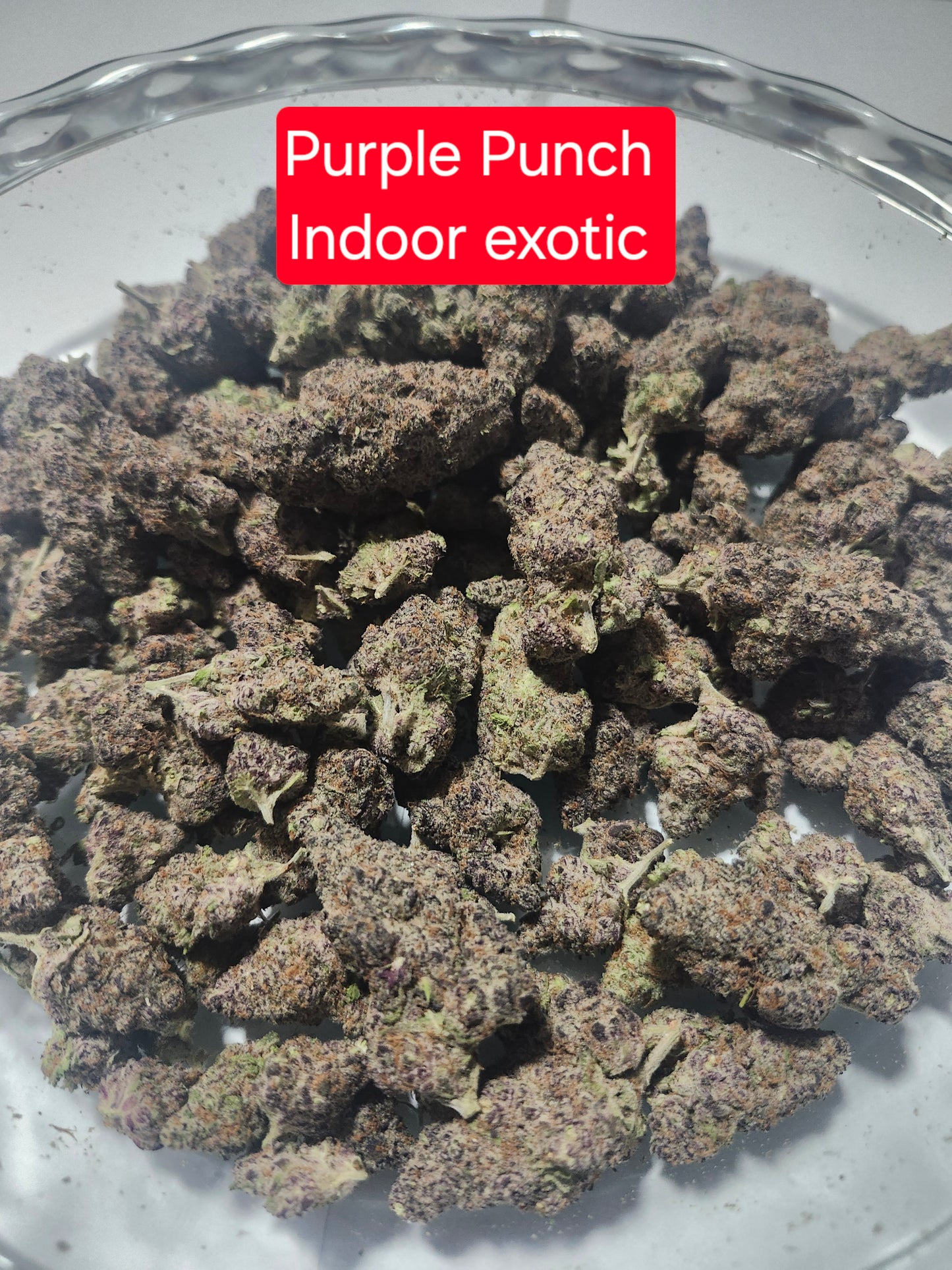 Purple Punch THCA Hemp Flower