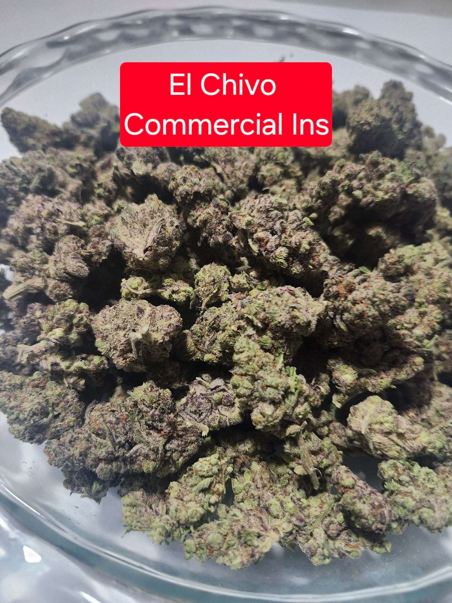 El Chivo THCA Hemp Flower