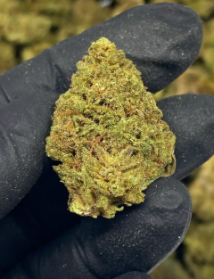 Sour Special Sauce CBD Flower