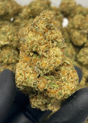 Dosi x Gelato THCA Hemp Flower
