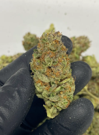 Gelato THCA Hemp Flower