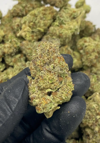 Gelato Ice THCA Hemp Flower