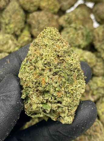 Sherbert Runtz THCA Hemp Flower