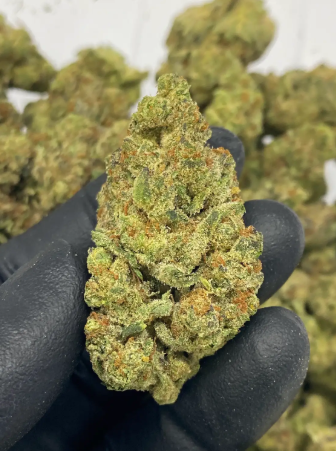 Space Rocks THCA Hemp Flower