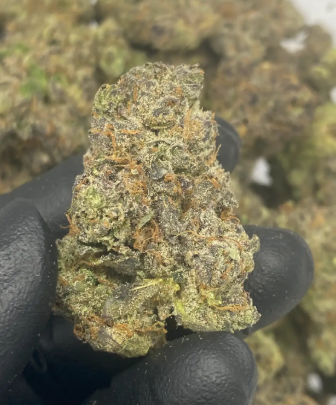 Gary Payton THCA Hemp Flower