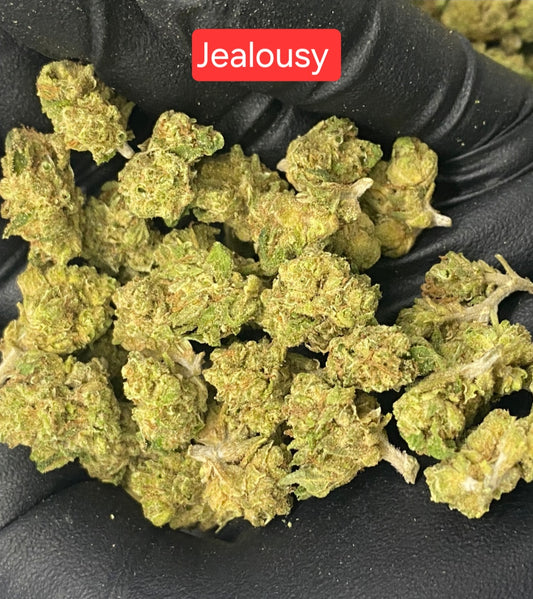 Jealousy THCA Hemp Flower