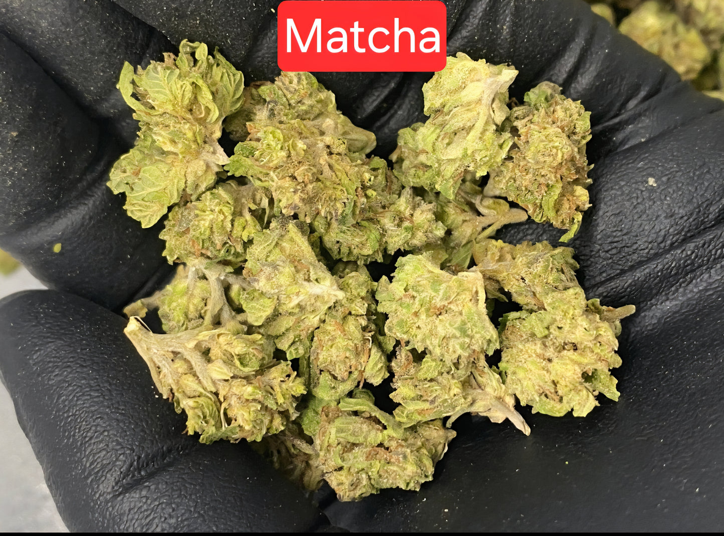 Matcha THCA Hemp Flower