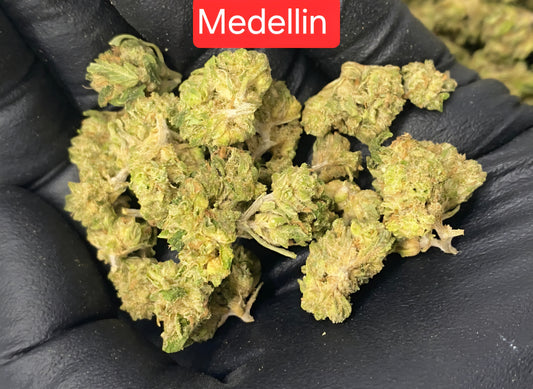 Medellin THCA Hemp Flower