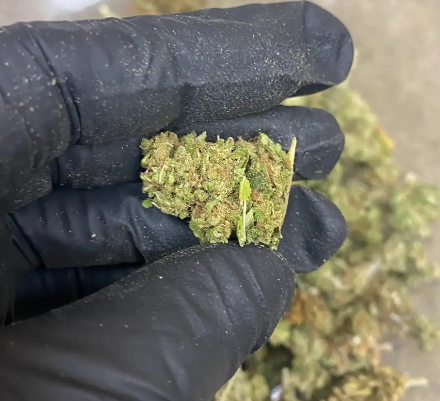 Merlot Smalls CBD Flower